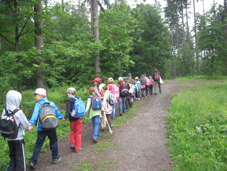 2AZalesnimistrasidylky (29)